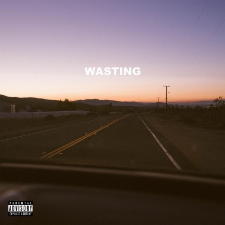 Wasting ft. Beau Robins | Boomplay Music