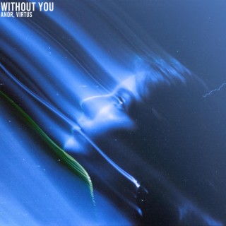 Without You (Remixes)