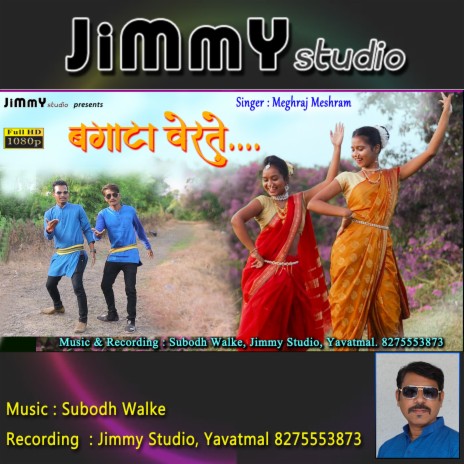 Bagata Verte (Gondi Dhemsa Song) ft. Subodh Walke & Meghraj Meshram | Boomplay Music