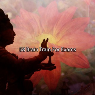 58 Brain Train For Exams
