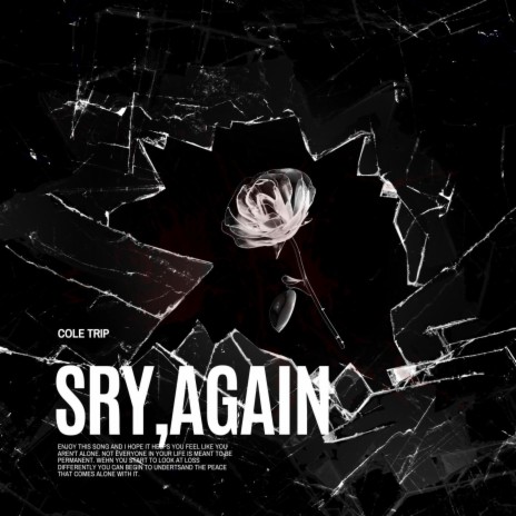 sry, again | Boomplay Music