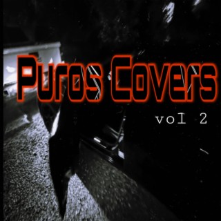 PUROS COVERS II