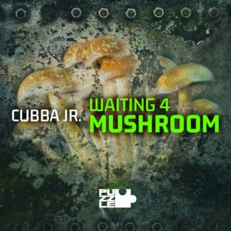 Waiting 4 Mushroom (Original Mix)