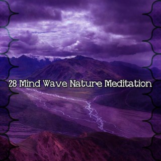 28 Mind Wave Nature Meditation