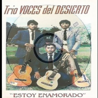 Trio voces del Desierto