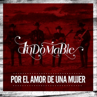 Por el Amor de una Mujer lyrics | Boomplay Music