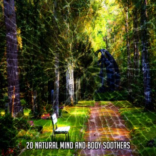 20 Natural Mind And Body Soothers