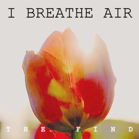 I Breathe Air | Boomplay Music