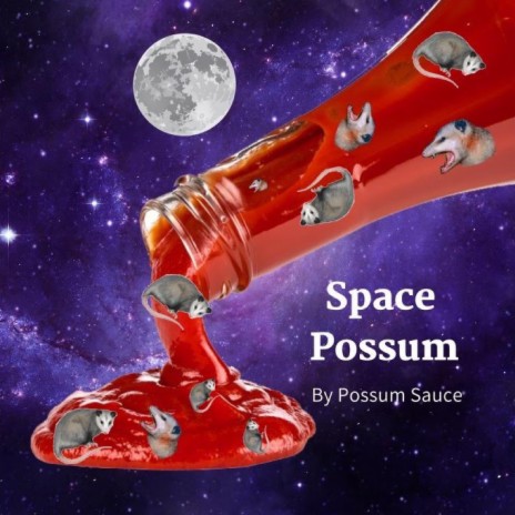Space Possum ft. Possum Sauce
