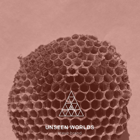 Unseen Worlds | Boomplay Music