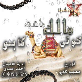 مالك ماشى