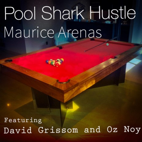 Poolshark Hustle ft. Oz Noy & David Grissom