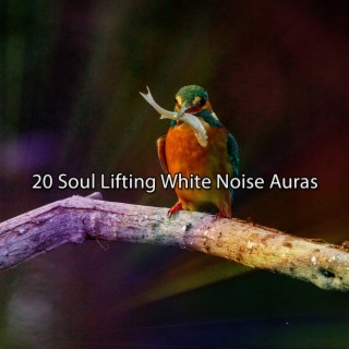 20 Auras de bruit blanc qui soulèvent l'âme