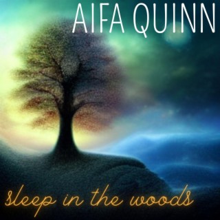 Sleep In The Woods EP