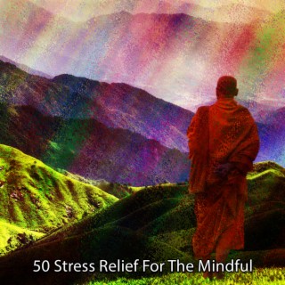50 Stress Relief For The Mindful