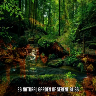 26 Natural Garden Of Serene Bliss