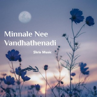 Minnale Nee Vandhathenadi