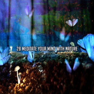 28 Meditate Your Mind With Nature