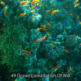 49 Ocean Constitution Of Will