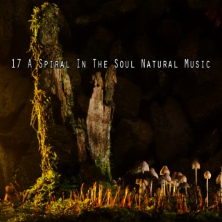 17 Une spirale dans l'âme Musique naturelle