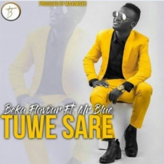 Tuwesare ft. Mr Blue lyrics | Boomplay Music