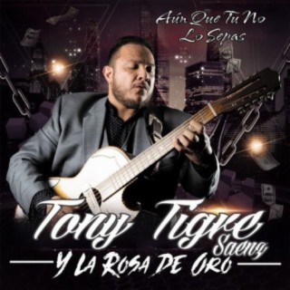 Tony Tigre Saenz Y La Rosa De Oro