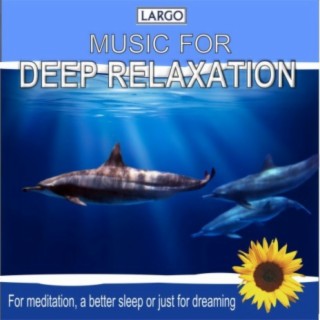 Deep Relaxation Music, for meditation, a better sleep or just for dreaming
