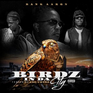 BIRDZ IN DA CITY