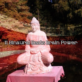 11 Binaural Beats Brain Power