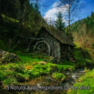 15 Natural Audio Insprations Of The Mind