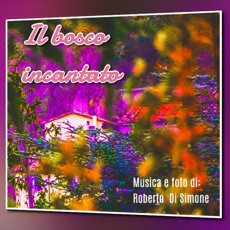 Il bosco Incantato | Boomplay Music