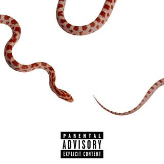 Snake Charmer ft. The Abracultabra & J. I. Gassen lyrics | Boomplay Music