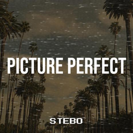 PICTURE PERFECT | Boomplay Music