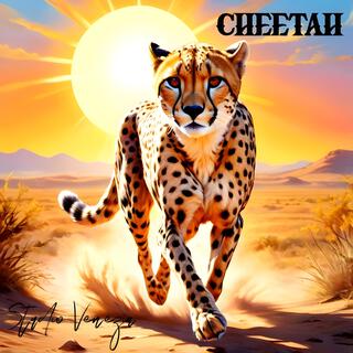 Cheetah lyrics | Boomplay Music