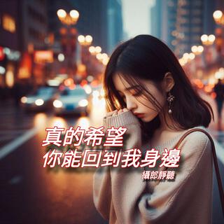 真的希望你能回到我身邊 lyrics | Boomplay Music