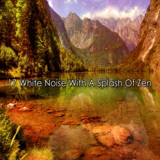 17 White Noise With A Splash Of Zen