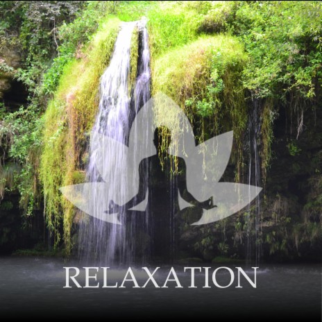 Meditation Relax Music | Boomplay Music