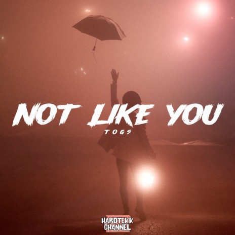Not Like You ft. ToGs