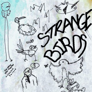 Strange Birds