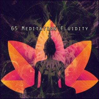 65 Meditation Fluidity