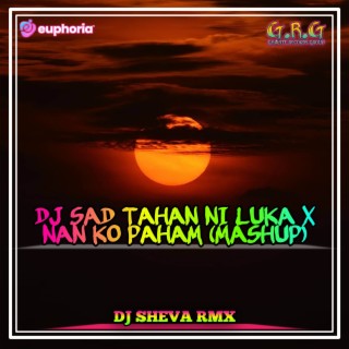 Dj Sheva Rmx