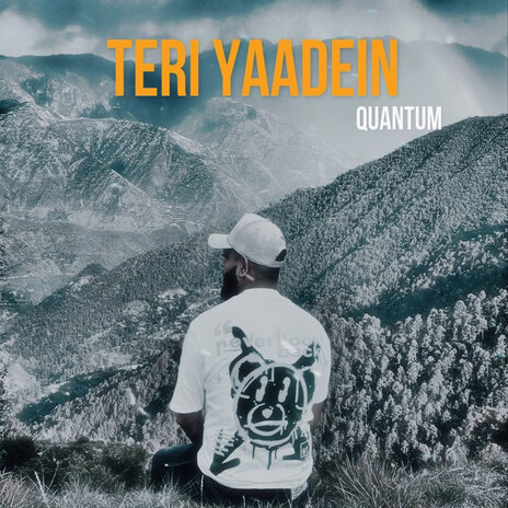 Teri Yaadein | Boomplay Music