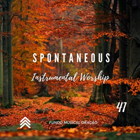 Spontaneous Instrumental Worship 41 | Boomplay Music