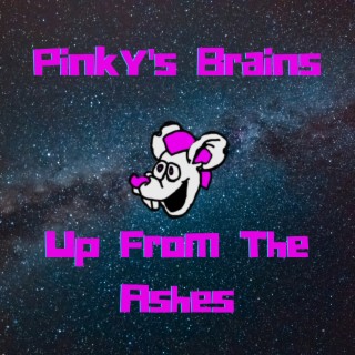 Pinky's Brains