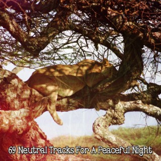 69 Neutral Tracks For A Peaceful Night