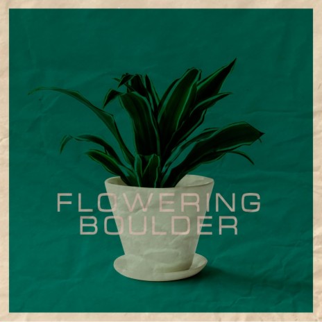 Flowering Boulder | Boomplay Music