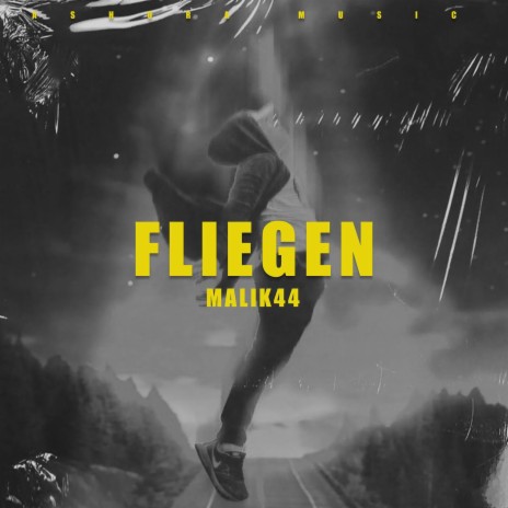 Fliegen | Boomplay Music