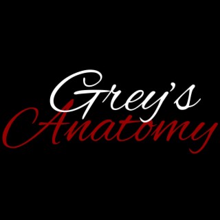 Grey's Anatomy lyrics | Boomplay Music