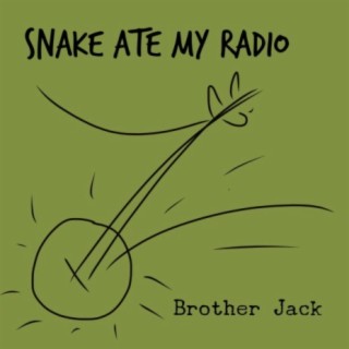 Snake Ate My Radio (Busted Banjo Version)