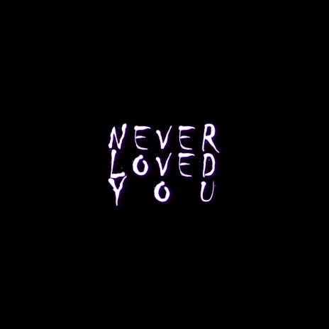 Never Loved You | Boomplay Music